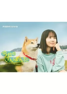今日份的散步