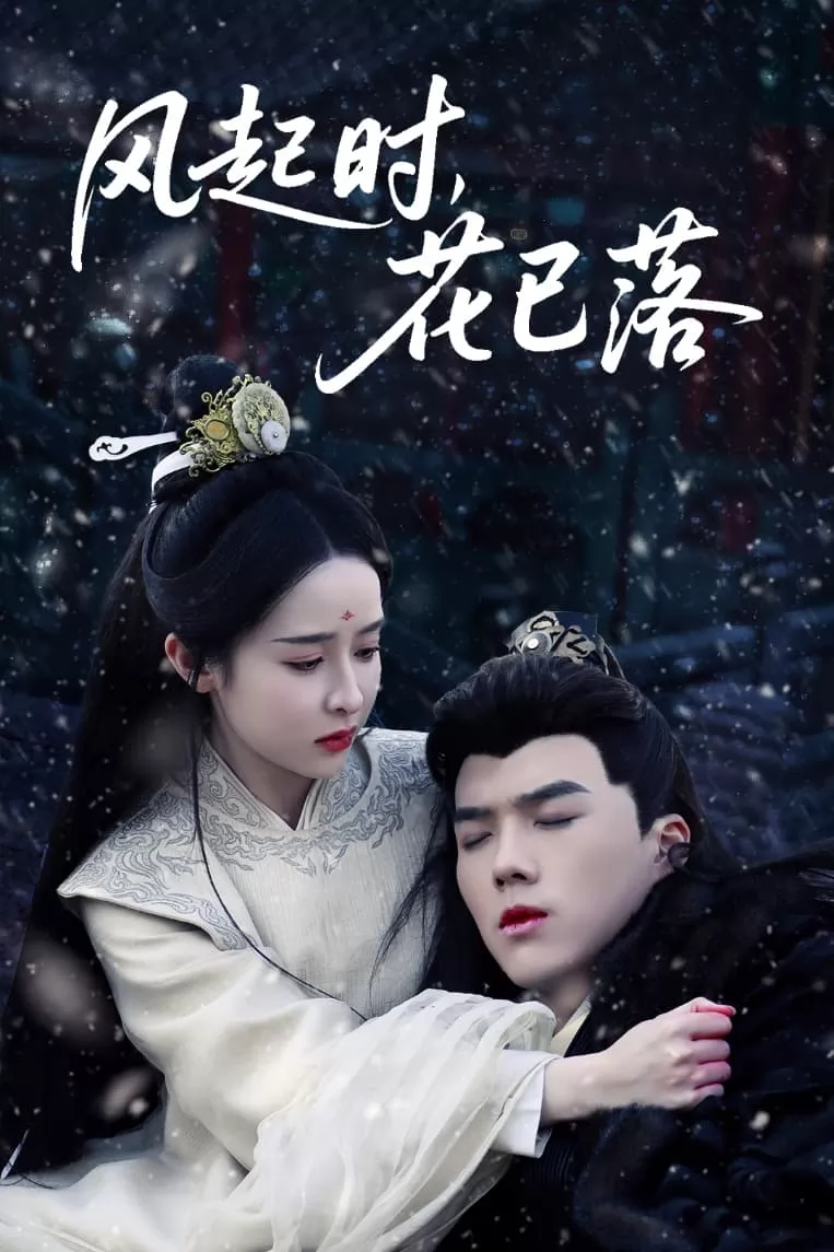 风起时，花已落